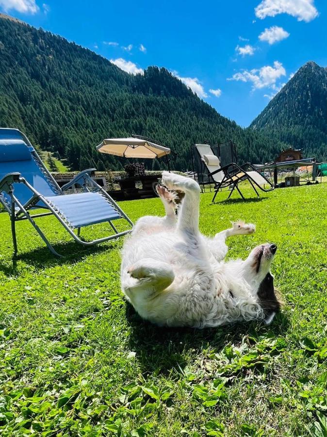 Chalet Sunshine Livigno Exterior foto