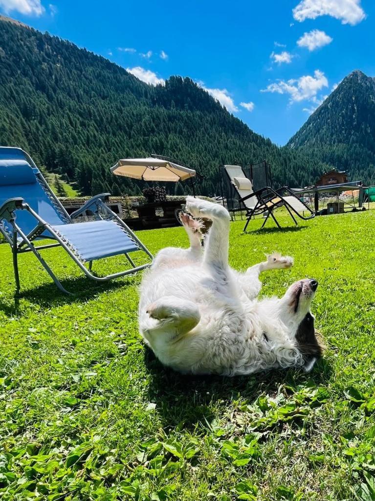 Chalet Sunshine Livigno Exterior foto